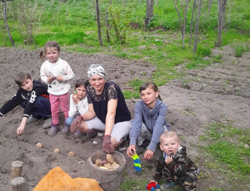 Подаренные семена приносят необходимые плоды